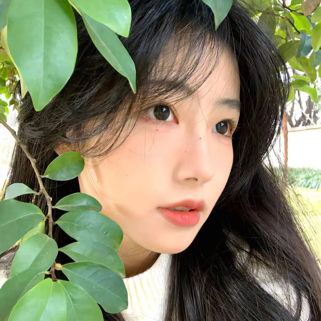 花牌情缘第一季